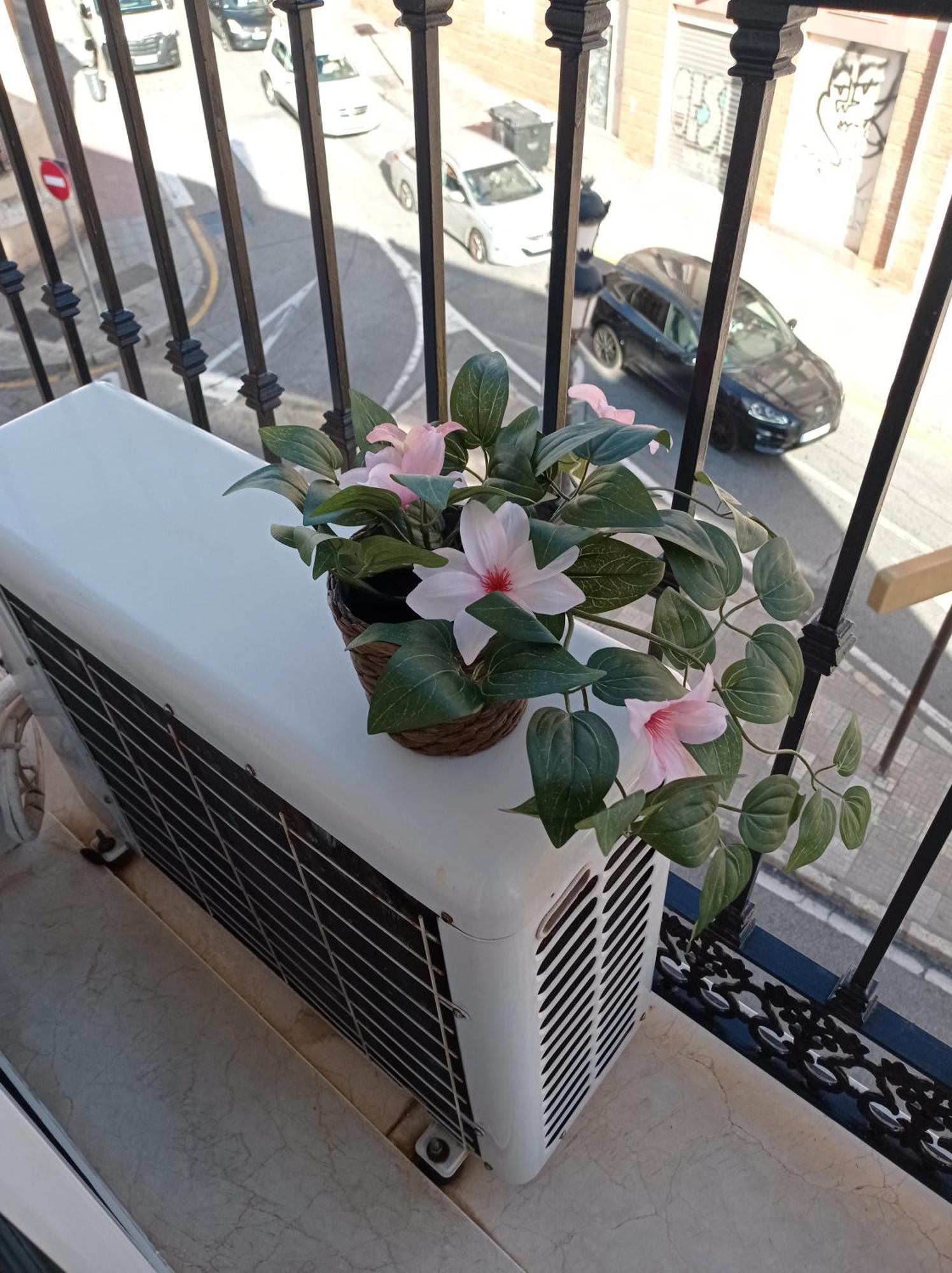Penthouse With Solarium In The Center Of Malaga-Atico Con Solarium En El Centro De Malaga Apartment Ngoại thất bức ảnh
